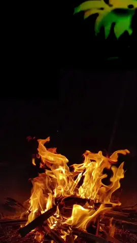 Hadii u jaceyl jiro keena ugu horeyee😍hedhe gacalo hedhe🫴❤️