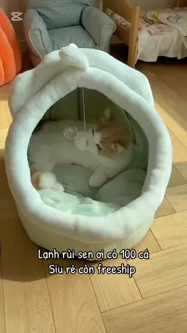 Ổ ngủ cho mèo ấm áp mà còn quá là rẻ nun các sen ơi #pet #cat #catsoftiktok #xuhuong #tieubonday #mèo #onguchomeo #giuongnguchomeo 