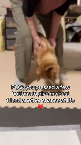 ❤️❤️ #dogs 