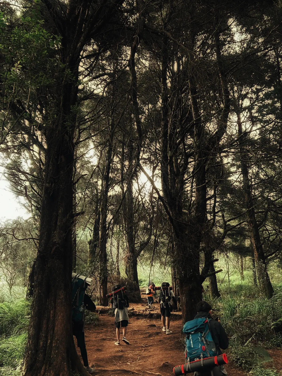 #fypp #pendakiindonesia #gunungprau2565mdpl 