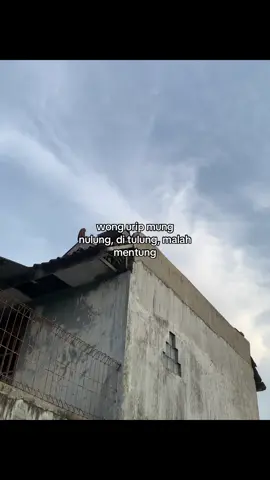 seng nulung nganggo tenogo bakale kalah karo sek nulung nganggo duit☺️