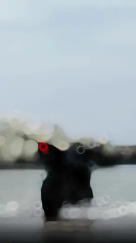 Every boy's emotion 😍😍#foryou #bikelover #r15v3 #newtrend #trending #vairalvideo #bdtiktokofficial #support_me #unfrezzmyaccount #gowmyaccount🙋🔥 #foryoupage❤️❤️ 