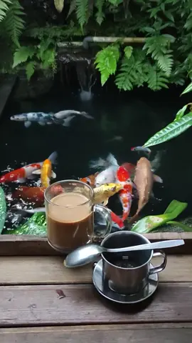 puenak bolo  #CapCut #pengarepan #adella #kopi #difarinaindra 