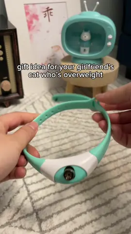 This is the secret 🤫 #cats #cattok #viral #tiktok #reels 