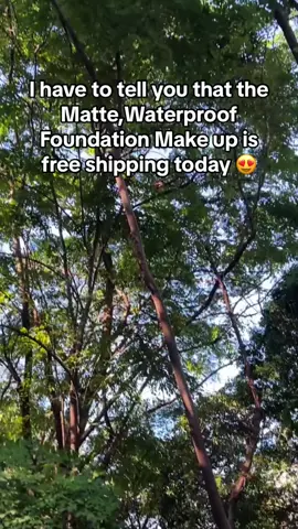 I love it #tiktokshopblackfridaysale #tiktokshopblackfriday