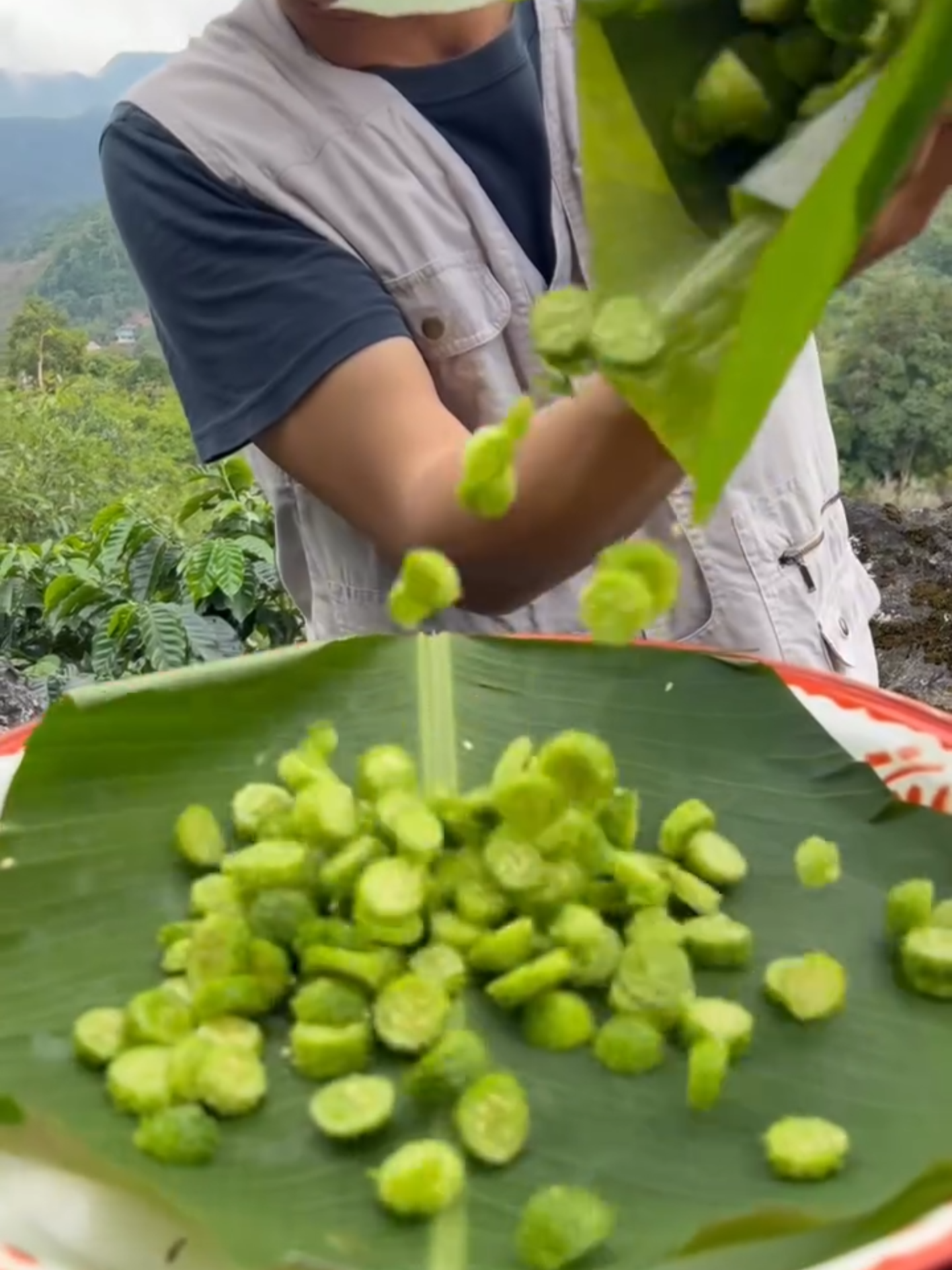 ยำแตงป่าแซ่บๆ 🌶️🔥