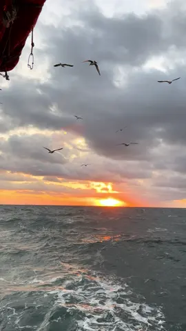 Ngày hôm nay của em như thế nào?