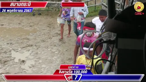 “ไม่หล่อให้สาวเหลียว แต่กินก๋วยเตี๋ยวให้สาวเลี้ยง”#รอบรั้ววัวชน🐮 #สนามชนโคกระบี่ไรใหญ่ #fyp