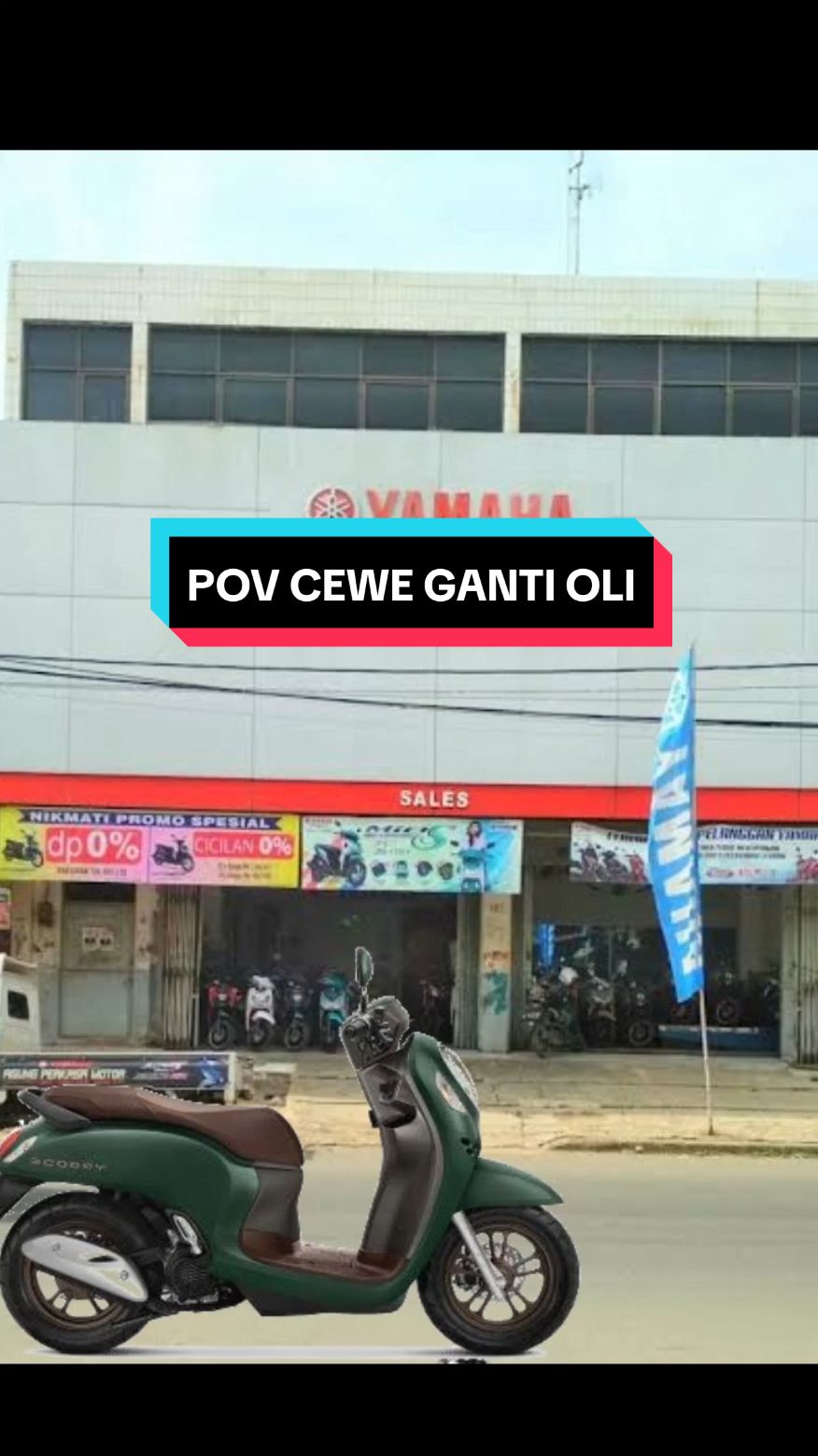 POV CEWE GANTI OLI #memekucing  #videokucinglucu  #kucingoyen 