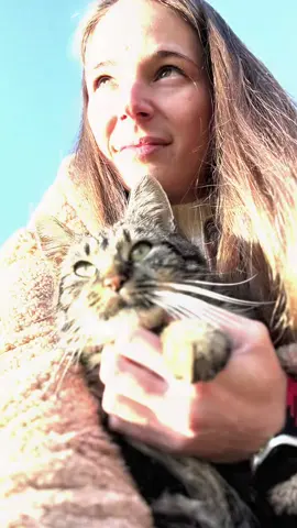 #CapCut #Benivelésacicával#🐱🐈🐈‍⬛🤩🥰 #egykisnapsütés☀️😎