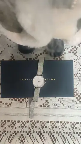 @DanielWellington has up to 50% off on everything this Black Friday + 16% EXTRA off with my code H6H9PT Visita il sito dove puoi trovare una vasta scelta di orologi per donna o uomo per tutti i gusti e adatti per ogni occasione. Oltre agli orologi da Daniel Wellington puoi trovare anche gioielli, occhiali da sole e borse. ❤️😍 #dwambassadorlove #blackfriday #fyp  #danielwellington #danielwellingtoncode #danielwellingtondiscountcode 