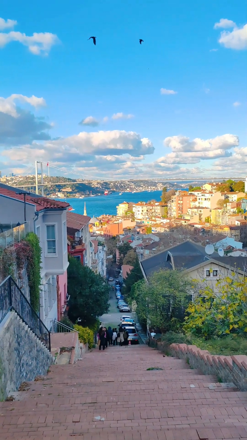🍭Üsküdar Kuzguncuk Bican Efendi Sokak İstanbul'un en güzel manzaralarından biri. Buraya beraber gitmek istediğin kişiye gönder. Seyahat ipuçlarınız için takip etmeyi unutmayalım. 🙏 #istanbul #kuzguncuk #üsküdar #travelturkey #visitturkey # #placestovisitinistanbul  #اسطنبول🇹🇷 #turkey🇹🇷 #turquie🇹🇷 #Стамбул #istanbultrip #PlacesToVisit #trip 