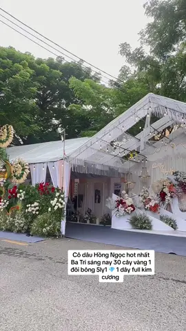 Cô dâu 👰🏻HỒNG NGỌC hot nhất Ba tri sáng nay 30 cây vàng 1 đôi bông 5ly1 1 dây chuyền full kim cương 💎#71bếntre🌴 #makeupartist #huỳnhkhải #huỳnhkhảiwedding #dâuxinhmiềntây #makeupcodaubentre #dâuxinh #xuhuong #xuhuongtiktok 