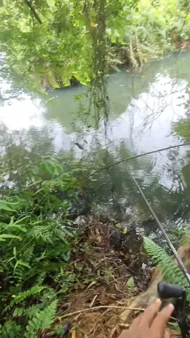 Casting Toman guna Sabaitzer @OZMY | Aku pairkan rod @Rentaka Blackheart dgn Curado Dc 151xg. Selamat hari jadi idola pemancing @𝘽𝙤𝙩𝙖𝙠🇵🇸 nah saya belanja letop