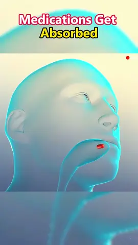 How medicine absorb in human body #medicine #absorb #medicineexplained #medicineabsorption #medicinetips #capsule #medicine #animation #medicalanimation #medicalanimation3d #mzk