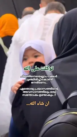 💚💚#അള്ളാഹു #ഇസ്ലാമിക് #ഭക്തി #💚🤲 