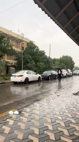 #جامعه_البصره_باب_الزبير #مطر #الشتاء 