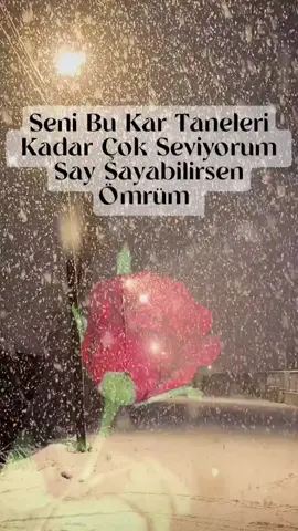 #keşfet #foryou #fyp ömrüm❤ #by_vtecaskin61 