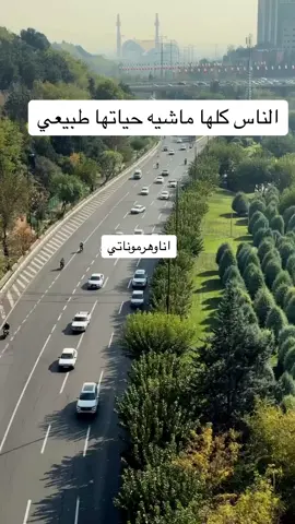 #viral #ضحك #fyp #creatorsearchinsights 