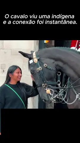 cavalo viu a indígena e a conexão aconteceu #amazonia #viral 