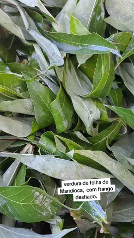 verdura de folhas de Mandioca  com frango desfiado  folha de Mandioca pilado  3 coco 1/2 k de amendoim pilado  2 tomates raspado  2 cebolas em rodelas  sal caldo papaia óleo.  modo de fazer no vídeo. 🇲🇿