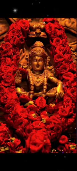 #ayyappa #ayyappaswami #ayyappan #ayyappaswamy #ayyappa_songs #ayyappansong #ayyappanthunai #ayyappasaranam #sabarimala #sabarimalai #sabarimalaiayappan #sabarimalatemple #devotional #devotionalsong #fyp #fy #fypage #fypツ 