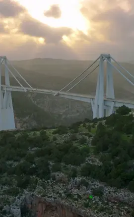أجمل مكان  في وقت الغروب🌇🍂، جسر وادي #الكوف🗺. #ليبيا #البيضاء #جسر #libya #africa #travel #fyp #photo #DJIMavic3 #dronephotography  #الجبل_الاخضر 