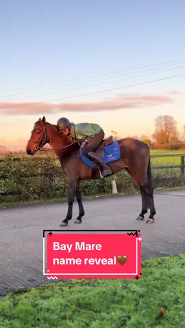 Name reveal! Welcome to the M Crew my darling🤎🤎 When you know you know🫶🏼 #equestrian #equine #horsegirl #horsetok #horsesoftiktok #horsebackriding #equestrianlife #equestrianvibes #fyp #foryou #abcxyz 