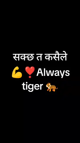 #npl #sudurpaschim #sdurpromocion2024 #tigerpigdance @Sompal kami🪬 @sudurpaschim royals 