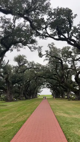 Braithwaite manor ahh #rdr2 #braithwaitemanor #irl #fyp 