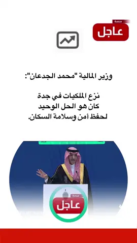 وزير المالية 