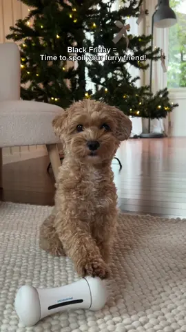 annonse 🐾 Hey, fur parents! If you’re looking for a fun gift for your doggo this holiday season, check out Wickedbone from @Cheerble - It’s a super cool toy with two play modes (drive mode and interactive mode) and you can even control it with your phone. 📱🐾 Bingo loves chasing it around! 🥹 Perfect for keeping your pups entertained while you do your holiday shopping! 🛍️ #cheerble #dogtoys #wickedbone #BFCM #giftguide #BlackFriday #CyberMonday