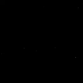 o dia em que a América ficou preta e branca 🖤🤍 #atleticomineiro #aquiegalo🐓 #maiordeminas🐔 #edit #fypageシ 