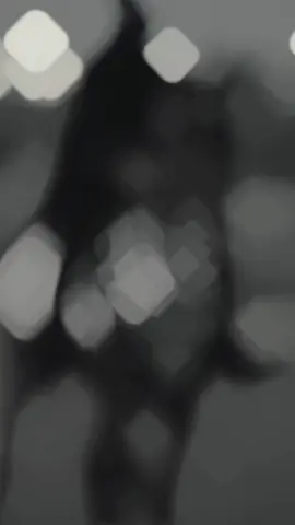 #สโลว์สมูท لا تزيد الجروح 🖤🐎#สโลว์สมูท عبدالله ال فروان #สปีดสโลว์ #สโลว์สมูท 