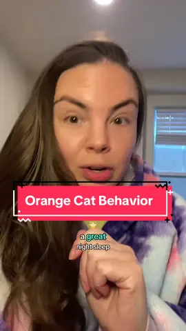 Gotta love those orange cats #orangecatbehavior #orangecatsoftiktok #orangecats #gingercat #gingercatsoftiktok #catauntie 