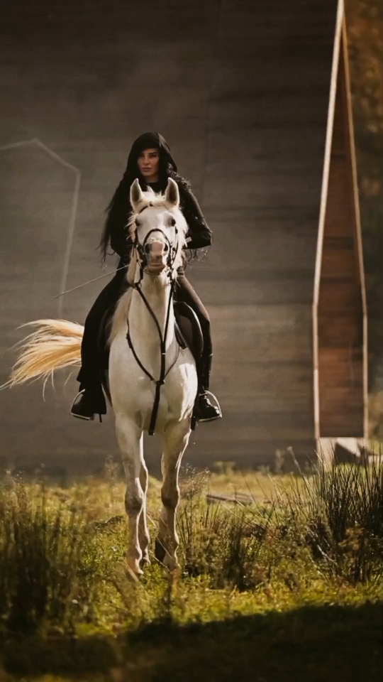 الحلو يغازلني قاعد الله يعين والله يساعد خمسة وخميسة يا حاسد ابعد خلي نعيش براحة  . . . #كاظم_الساهر #الحلوة 2003  #حسام_كامل #اخذ_الحلوة_ونام_براحة  #اغاني_عربية #اغاني_عراقية   #خيول_عربيه #خياله #خيول   #كاظم_الساهر_الحلوة  #دبكات_جوبي #چوبي  #الحلو_يغازلني_قاعد 