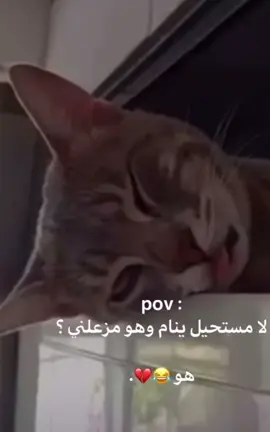 #😂😂😂😂😂 #hashtagstiktok #tik_tok #tiktok_india #اكسبلو #كومنتات #هاشتاج_العرب__تيك__توك #كومنتاتكم_حلوة♥️ 