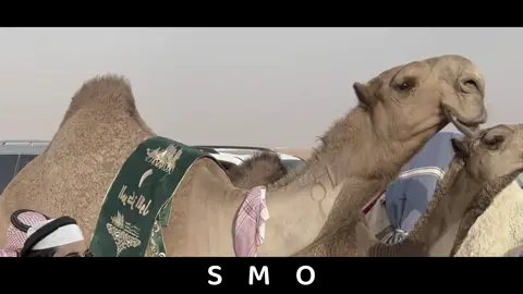 ماكنّك الا ( الاندلس ) لاقريتك مصيونةٍ في ضف طارق بن زياد 🩵. #سمو #الشعل #اكسبلور #explore #you 