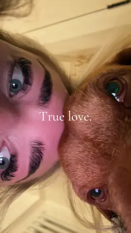 This trend but with a Vizlsa 🥹 #truelovee #dog #dogsoftiktok #vizsla #buddy #dogs #bestfriend #bestie #dogmum #dogmumlife 