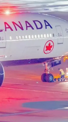 #visacanada🇨🇦 #immigrationcanada #calgary #immigrant #montrealcanada🇨🇦🇨🇦 #canadajobs #sénégalaise🇸🇳 #visibilitésurtiktok❤️✨🙏dieu #ouagadougou🇧🇫🇧🇫🇧🇫🇧🇫 #lométogo228🇹🇬🇹🇬 #BookTok #kizdaniel #viral #syfy #senegaltiktok🇸🇳🇸🇳🇸🇳 #congobrazzaville242🇨🇬 #tchadienne🇹🇩 #congobrazzaville242🇨🇬🇨🇩 #gabontiktok🇬🇦 #congobrazzaville242🇨🇬🇨🇩 #tchadienne🇹🇩 #congo #abidjan #tchad #guinneeconackry #suisse #algerienne #diaspora221 #diasporatiktok #diasporacongo #lométogo228🇹🇬🇹🇬 #visacanada🇨🇦 #montrealcanada🇨🇦🇨🇦 