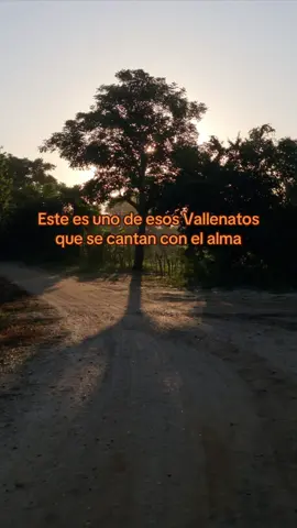 Canta con el alma 🥃 #vallenatos #fyp #flypシ #vallenatosdeoro #paratiiiiiiiiiiiiiiiiiiiiiiiiiiiiiii #vallenatosromanticos #desamor💔 #petermanjarres #vallenatosparadedicar #vallenatosyestados #viral_video 