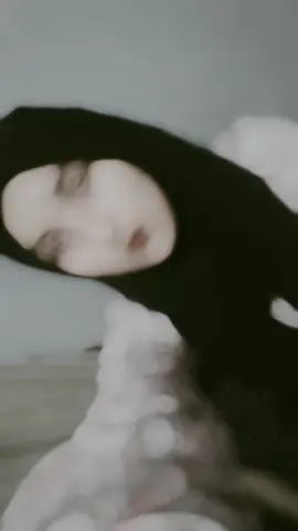 🕊️