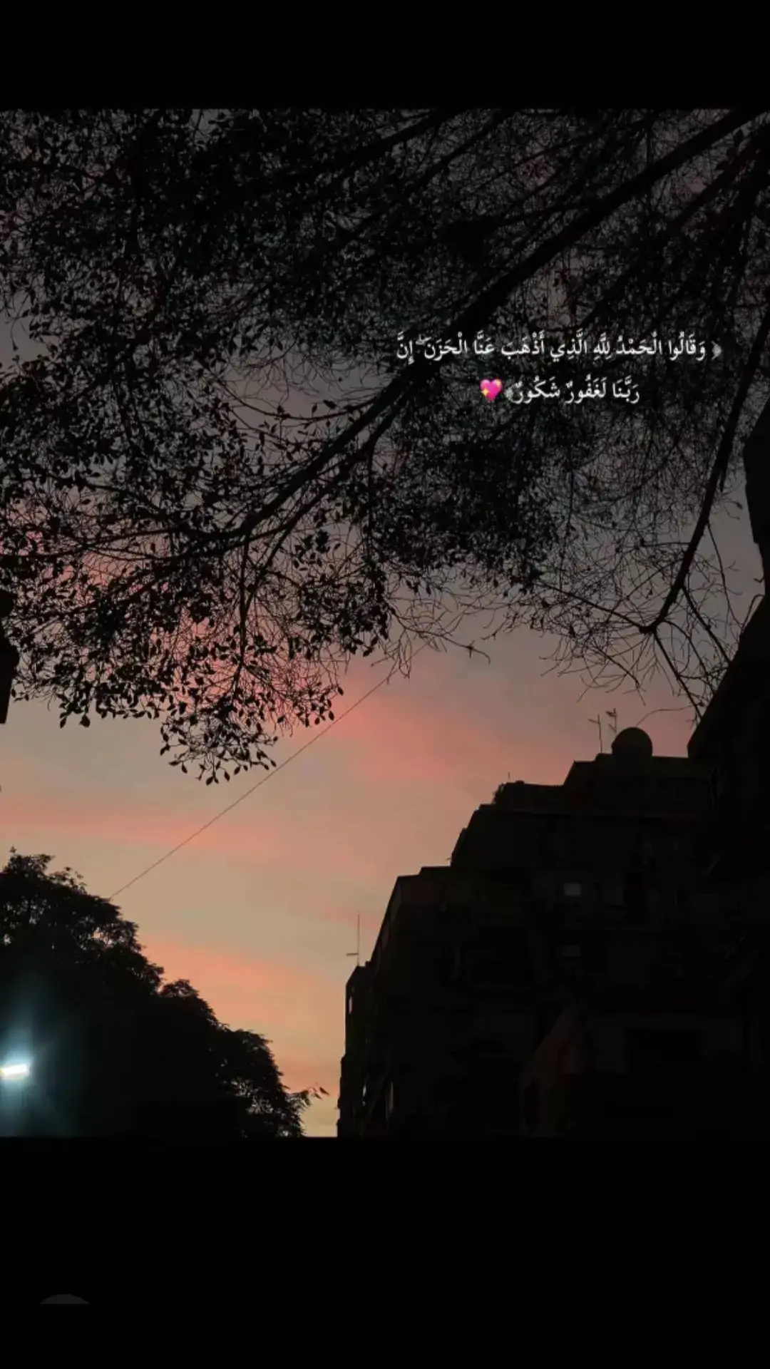 @القارئ عمر بن ضياء الدين القارئ #ابتهالات #quran #ممدوح_علي_١٤٢٤ه‍ #عمر_بن_ضياء_الدين 