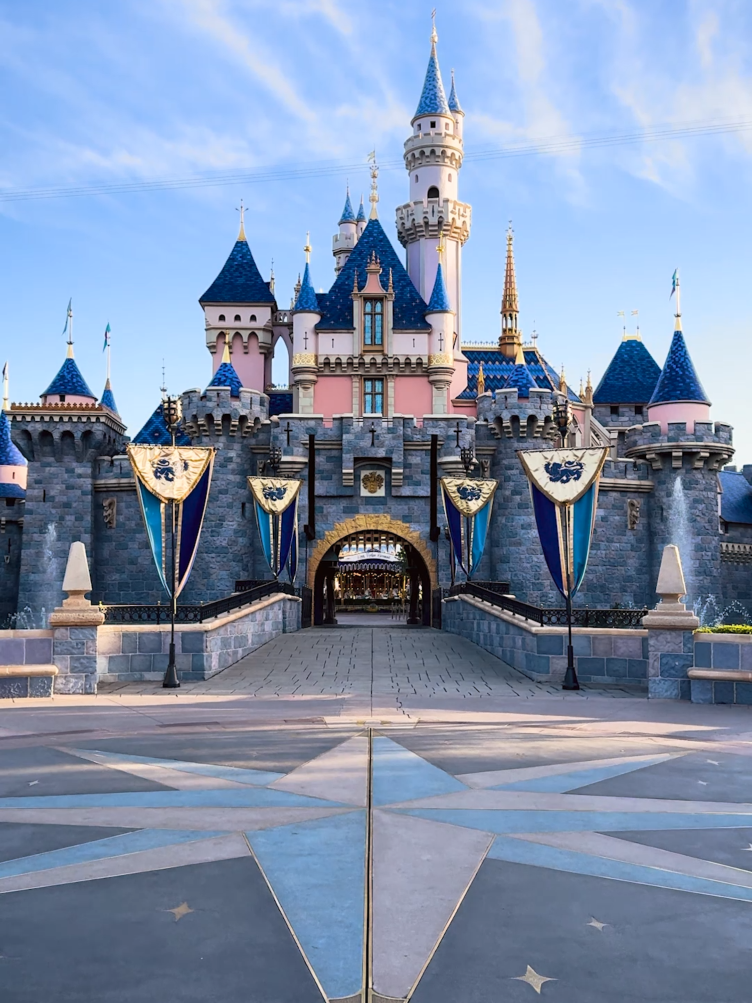 Our favorite time of year is finally here #Disneyland now through Jan. 6th 2025.