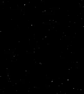 wasted time #eminem #xyzbca #parati #foryou #viralvideo #fypツ #fypage 