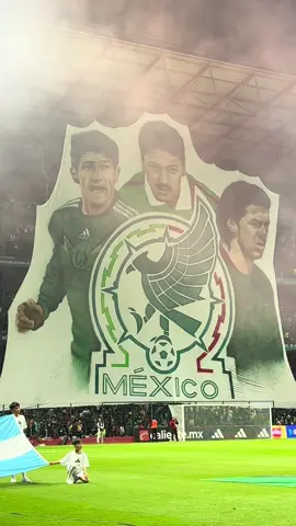 Lo de la afición en Toluca y el Tifo 🫶🏼.  Aquí te mostramos un poquito de cómo fue que lo hicieron, espera próximamente el video completo en nuestro canal de Youtube 📹 #seleccionmexicana #mexico #toluca #miseleccionmx #tifo #nemesiodiez #mexico🇲🇽 