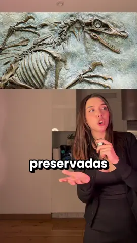 Hablemos de fosiles  #curiosidades #dinosaurios #bethcast #datoscuriosos 