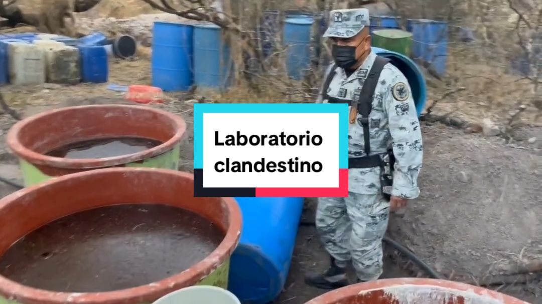 En Acámbaro Guanajuato, límite con Michoacán, las fuerzas armadas hallaron y aseguraron un laboratorio clandestino donde fabricaban dr0g4s sintéticas, particularmente m3tanf3tam1n4s. El aseguramiento equivale a 6 millones de dosis en más de 3 mil 625 kilos de producto terminado. El golpe al crimen organizado asciende a más de 3 mil 219 millones de pesos. #laboratorio #clandestino #millones #pesos #noticia #ultimahora #adn40 