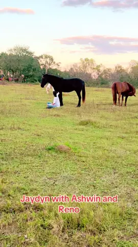 #deafcowgirl #deafhorsetrainer #fyp #horsetrainer #countrylife #blmmustang #onaquimustang #shawavemountainmustang #ashwintheonaqui #mustangs 