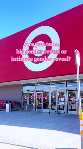 Are you team intimate gender reveal? Or big gender reveal? — We’re so excited for her, and we can’t wait to meet our new neice! 🩷 🎀   #sistergoals #genderreveal #genderrevealparty #babyshower #pregnanttiktok 